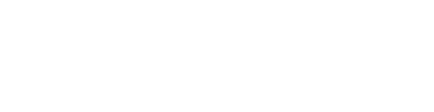 Birebin Logo